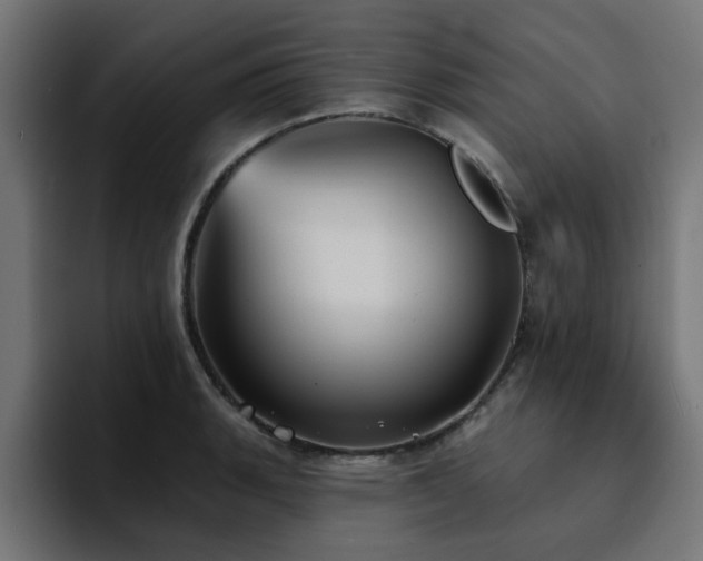 X0000094461135200711081320