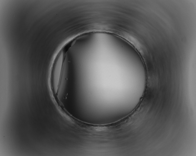 X0000094461136200711081320