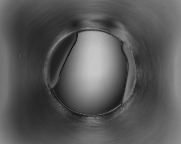 X0000094461138200711081320