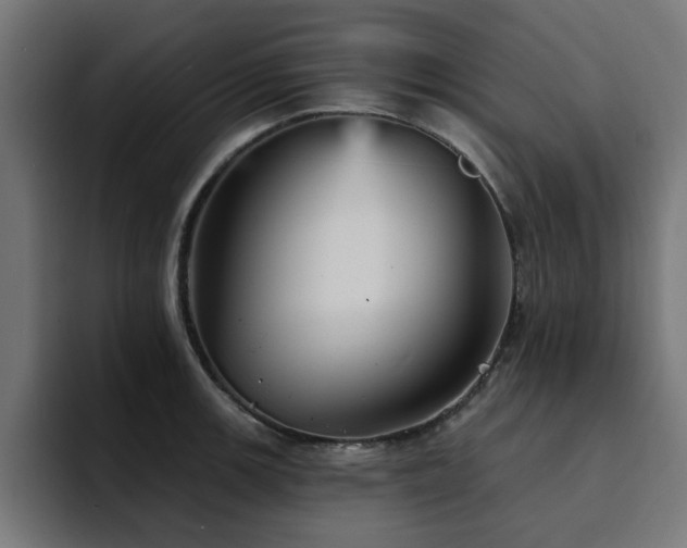 X0000094461139200711081320