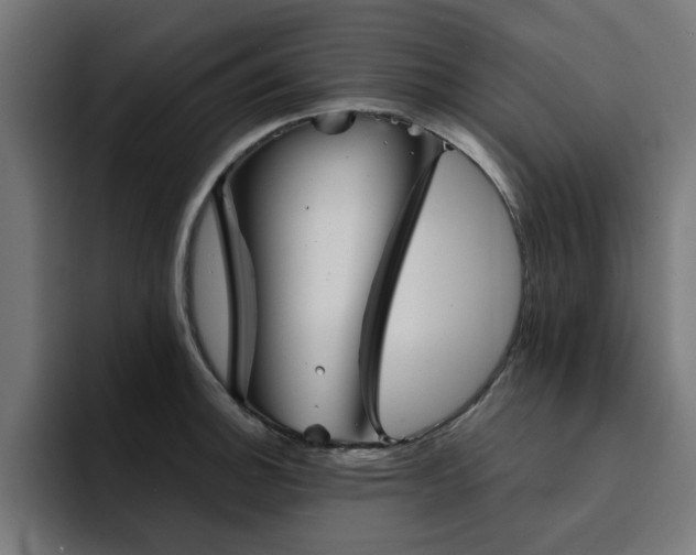 X0000094461140200711081320