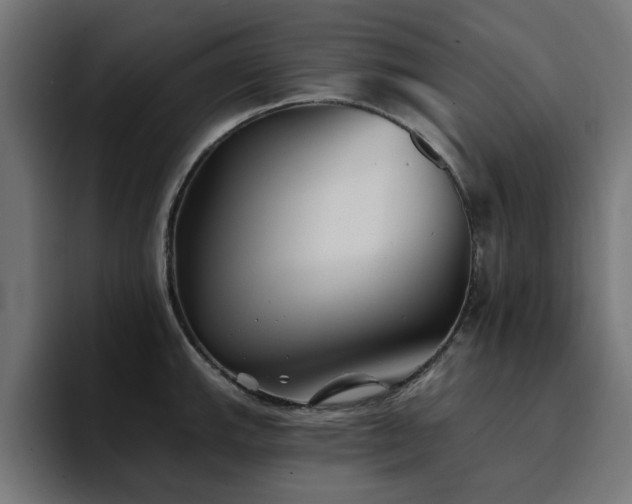 X0000094461143200711081320