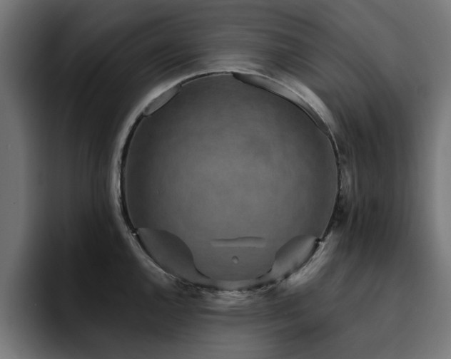X0000094461144200711081320