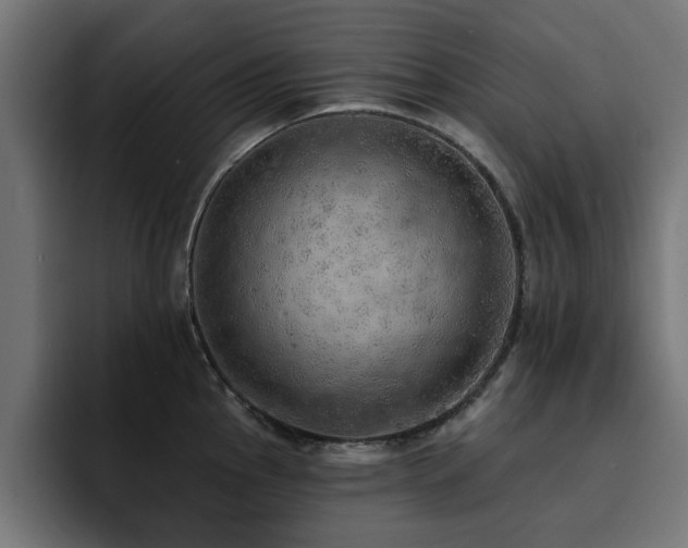 X0000094461145200711081320