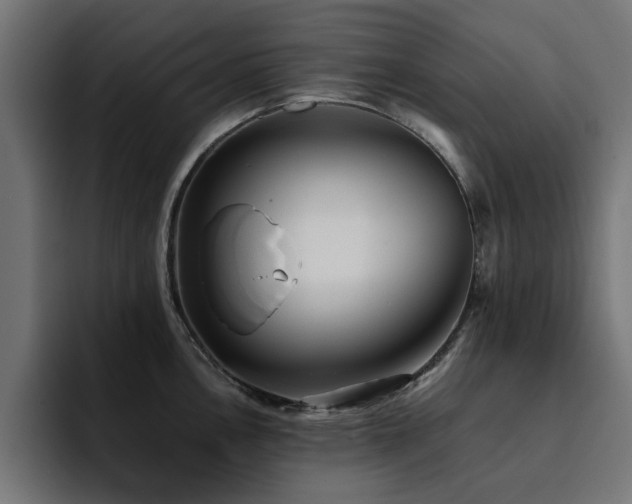 X0000094461146200711081320