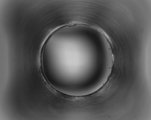 X0000094461148200711081320