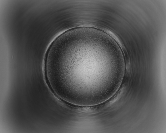 X0000094461149200711081320