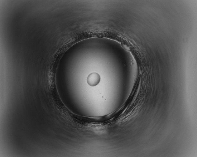 X0000094461156200711081319