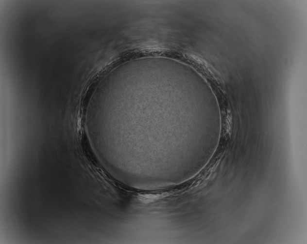 X0000094461157200711081319
