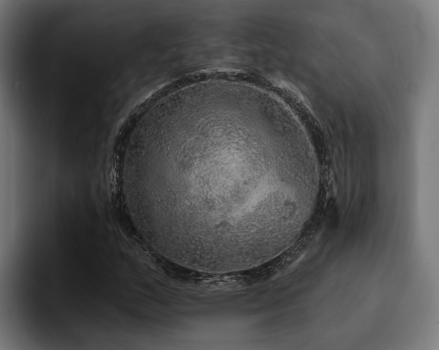 X0000094461159200711081319