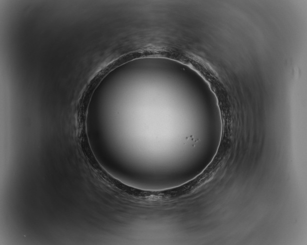 X0000094461160200711081319