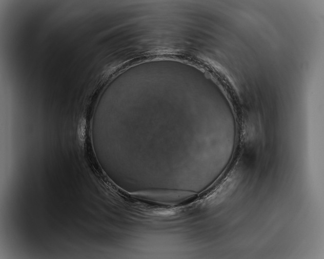 X0000094461161200711081319