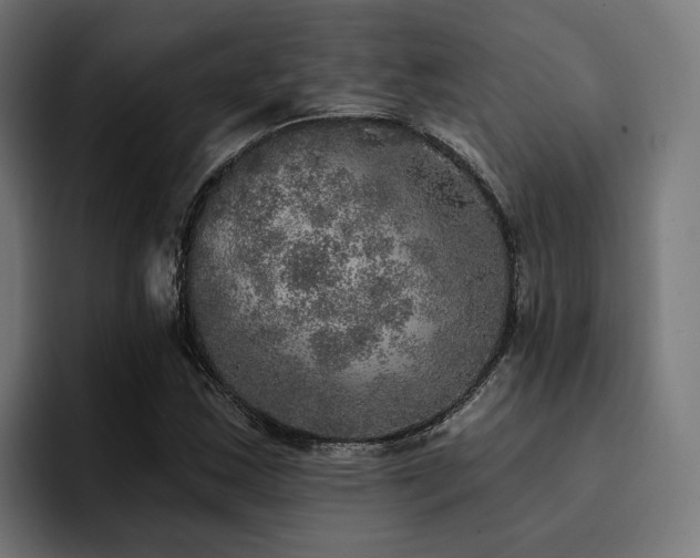 X0000094461163200711081319