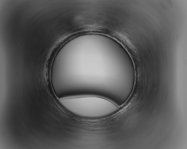 X0000094461164200711081319