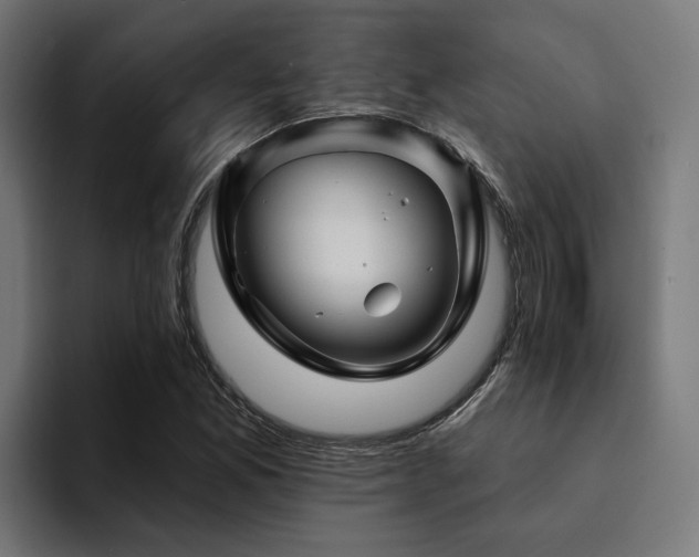 X0000094461165200711081319