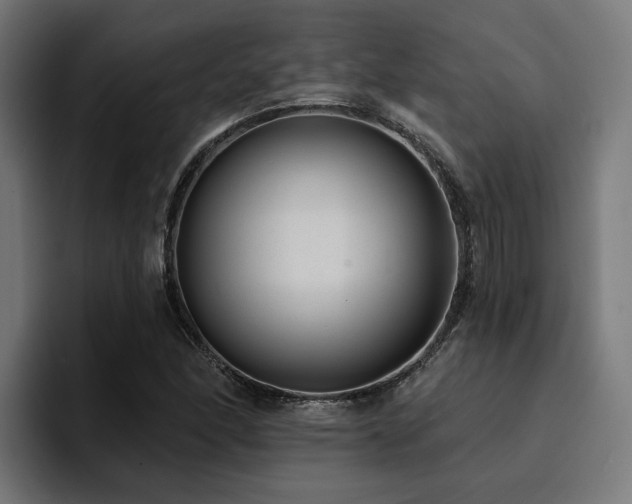X0000094461166200711081319