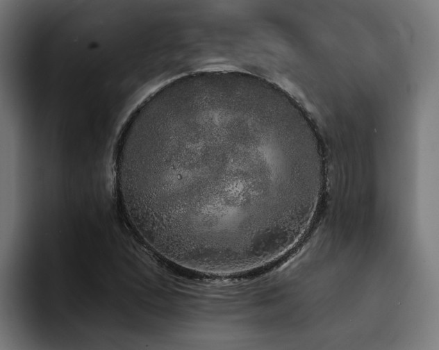 X0000094461167200711081319