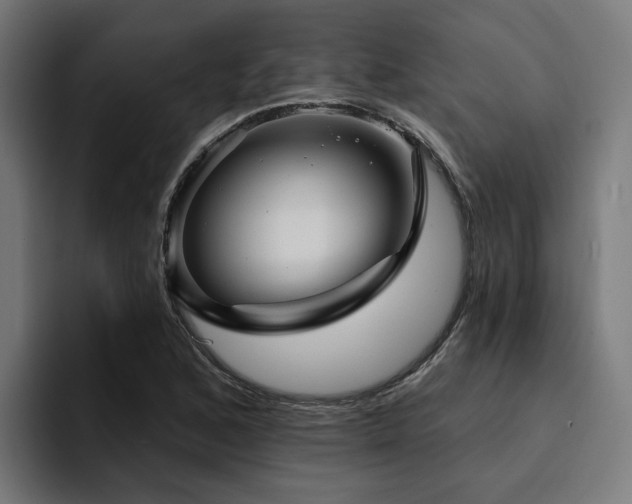 X0000094461168200711081319