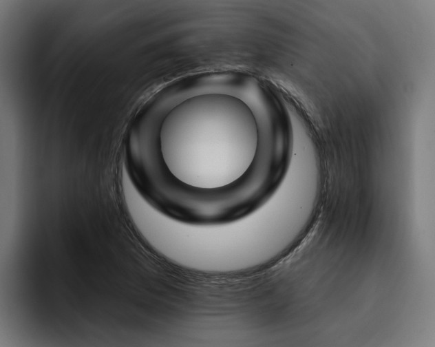 X0000094461169200711081319