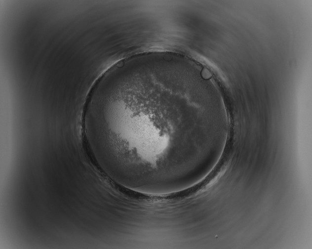 X0000094461170200711081319