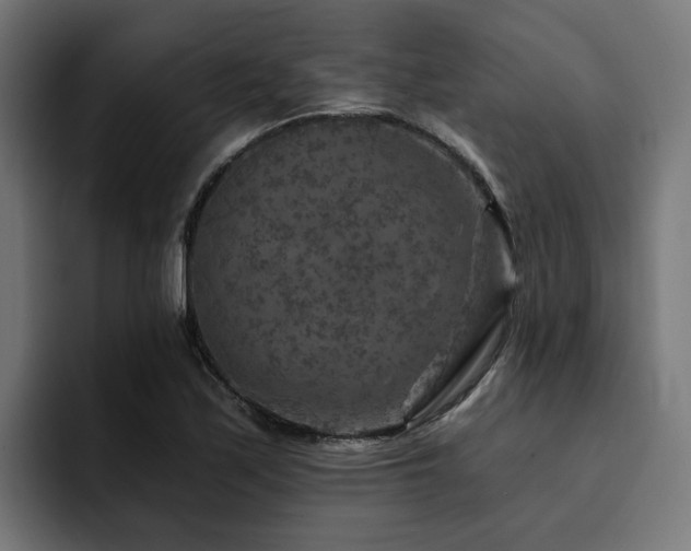 X0000094461171200711081319
