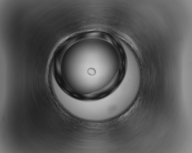 X0000094461172200711081319