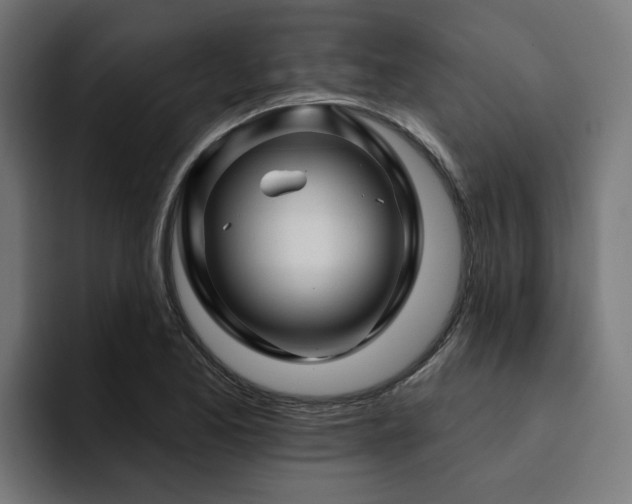 X0000094461173200711081319