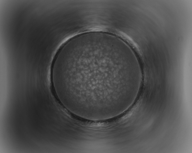X0000094461174200711081319