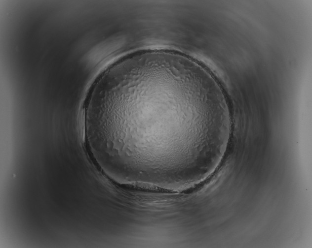 X0000094461175200711081319