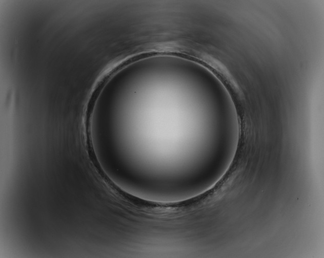 X0000094461176200711081319