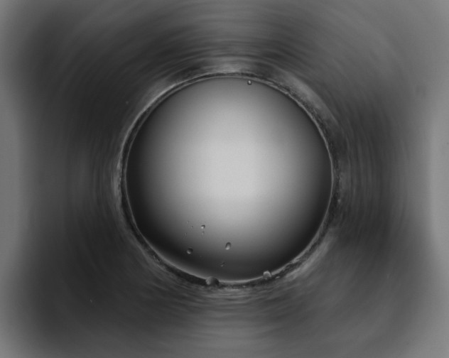 X0000094461178200711081319