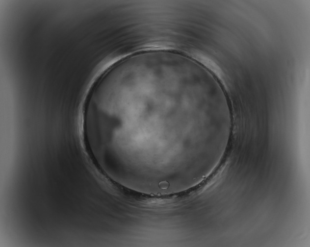 X0000094461179200711081319