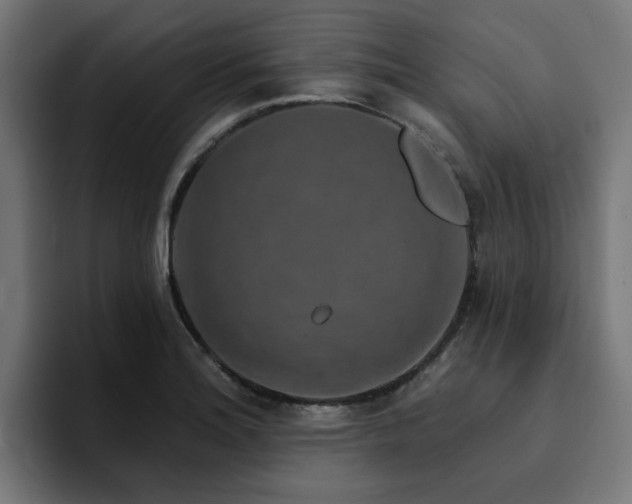 X0000094461180200711081319