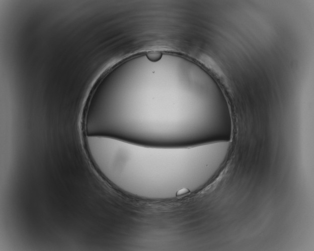X0000094461181200711081319