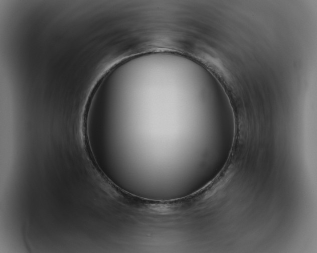X0000094461182200711081319