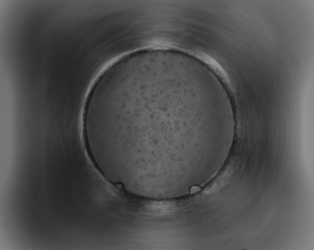 X0000094461183200711081319