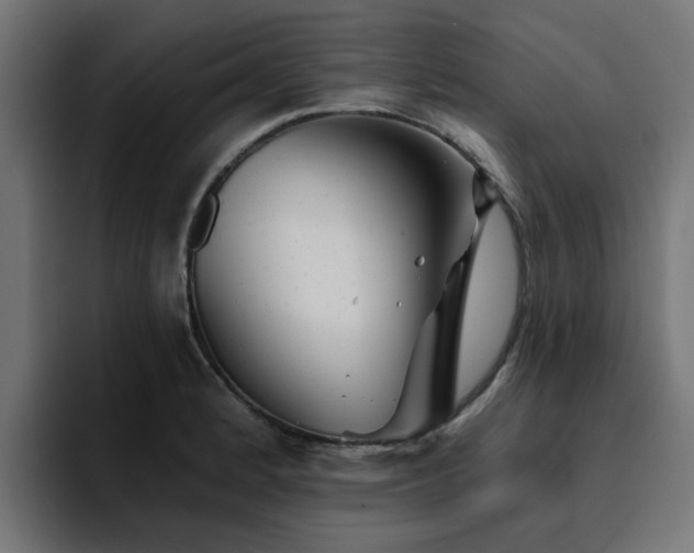 X0000094461184200711081319