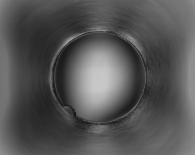 X0000094461187200711081319