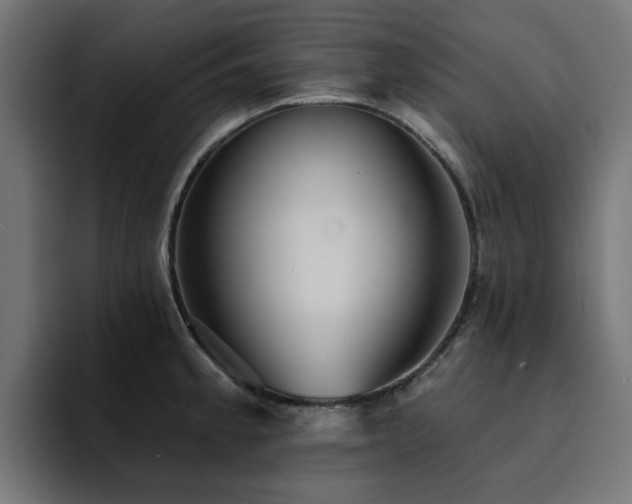 X0000094461189200711081319