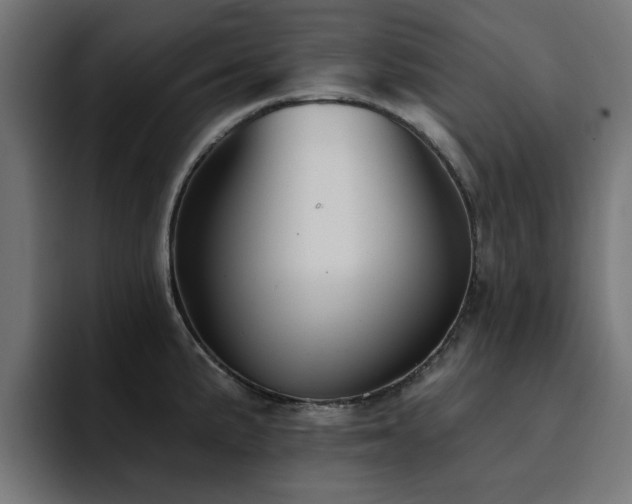 X0000094461191200711081319