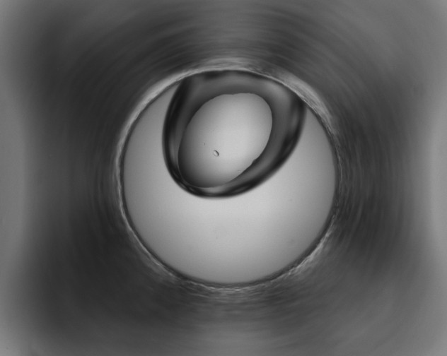 X0000094461192200711081319