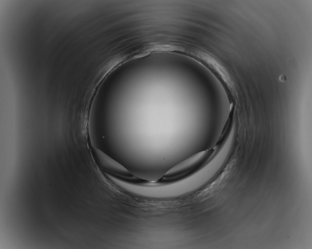 X0000094461193200711081319