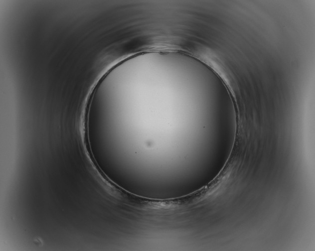 X0000094461195200711081319