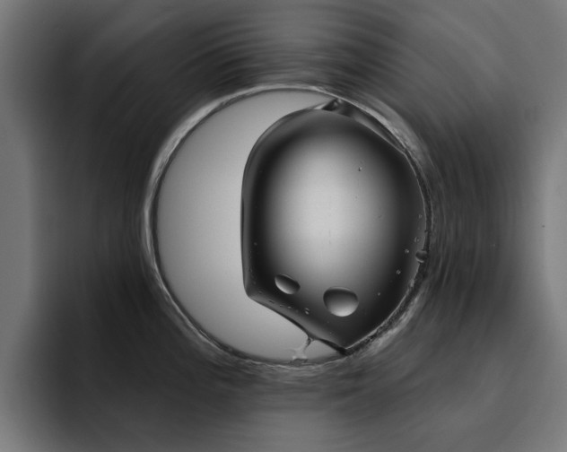 X0000094461196200711081319