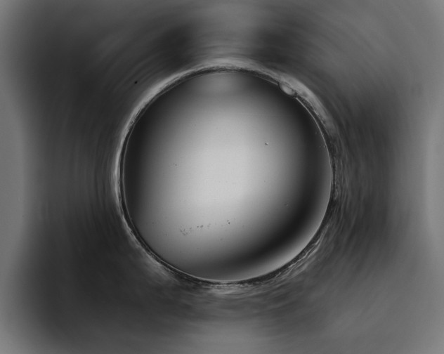 X0000094461199200711081319