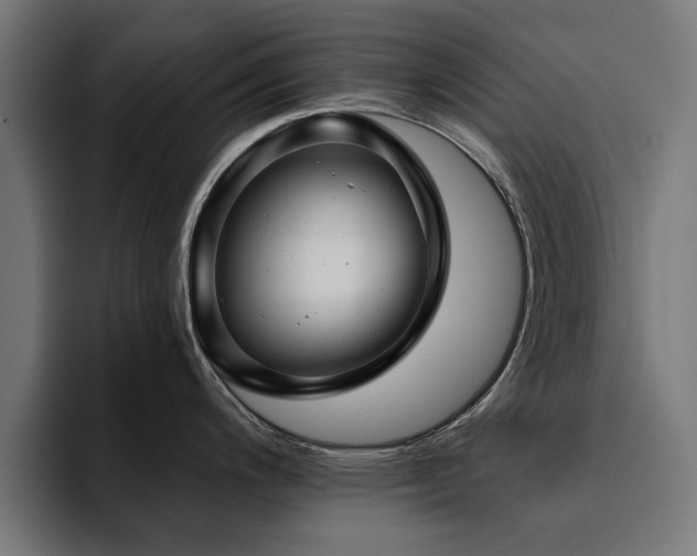 X0000094461200200711081319