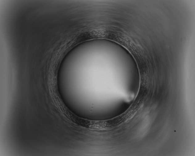 X0000094461201200711081318