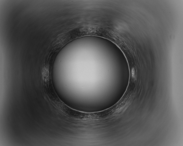 X0000094461203200711081318
