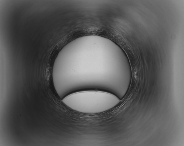 X0000094461204200711081318