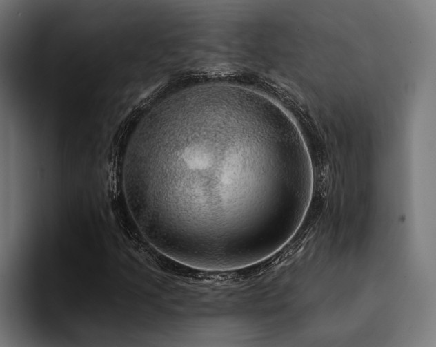 X0000094461205200711081318